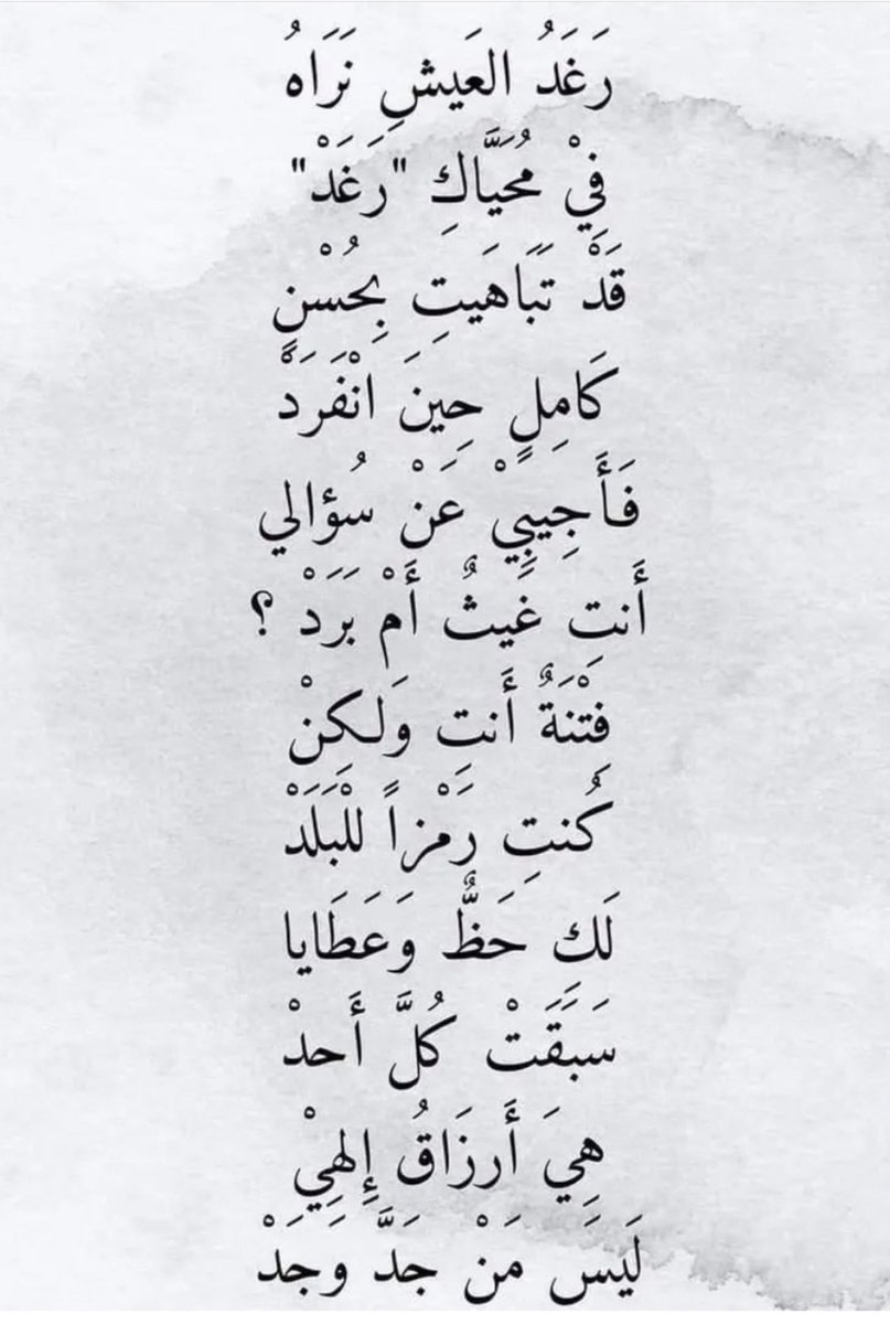 tooffee242's tweet photo. #رغد🤍 https://t.co/mr5xKeyQd3