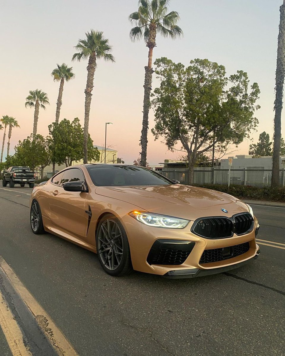 MPower_Daily's tweet photo. M8 Compétition 🏝✨ https://t.co/JyAT2ldE8N