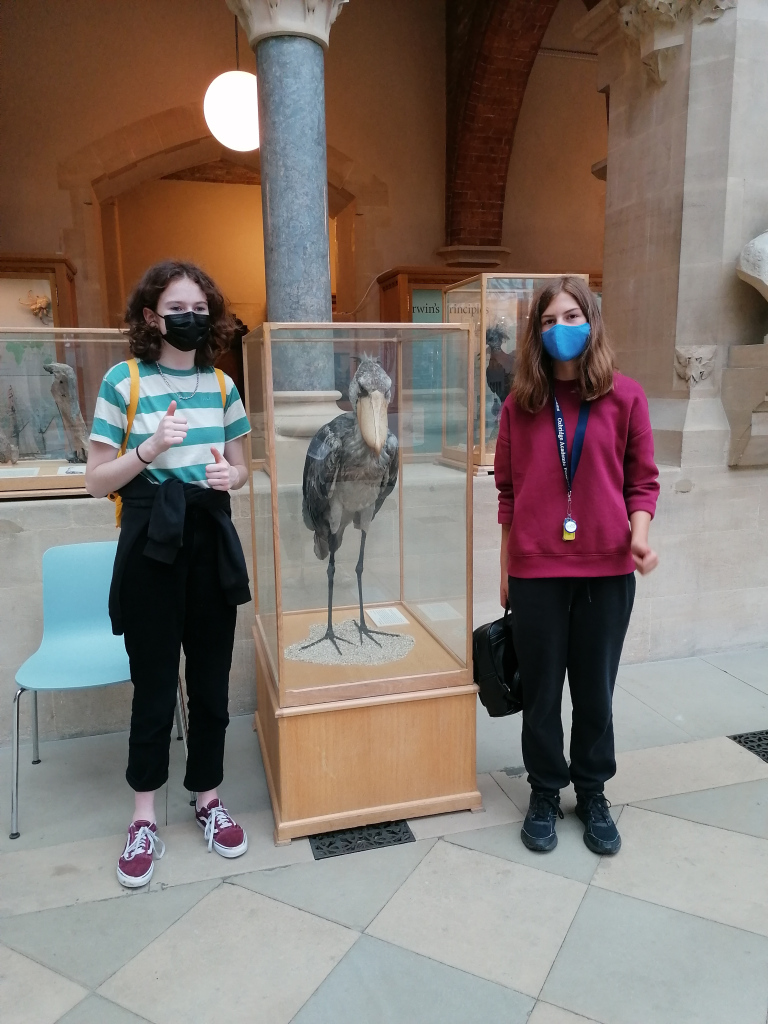 OxbridgeByWS's tweet photo. Thumbs up to @Pitt_Rivers 👍 👍 👍 A favorite of Oxford Prep Experience. 

Founded in 1884, it houses more than 500,000 objects from all over the world and all periods of human existence.

📸 Oxford Prep Experience, 2021 🇬🇧

#oxbridgeprograms #OxPrep https://t.co/b1n6cpN3tc