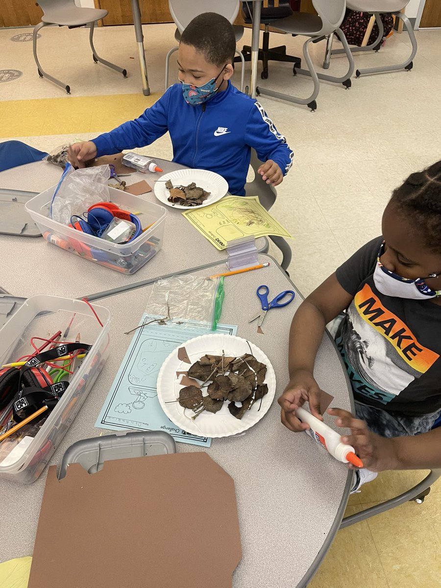 mrsmichelSL's tweet photo. Today for enrichment, our scientists were inspired by Sue and Otto @SUHawkNest2 and Big Red and Arthur @CornellHawks to build their own bird nests! @SyracuseSchools @MrsGiannuzziSL @syracuselatin https://t.co/M25vXmCSrT