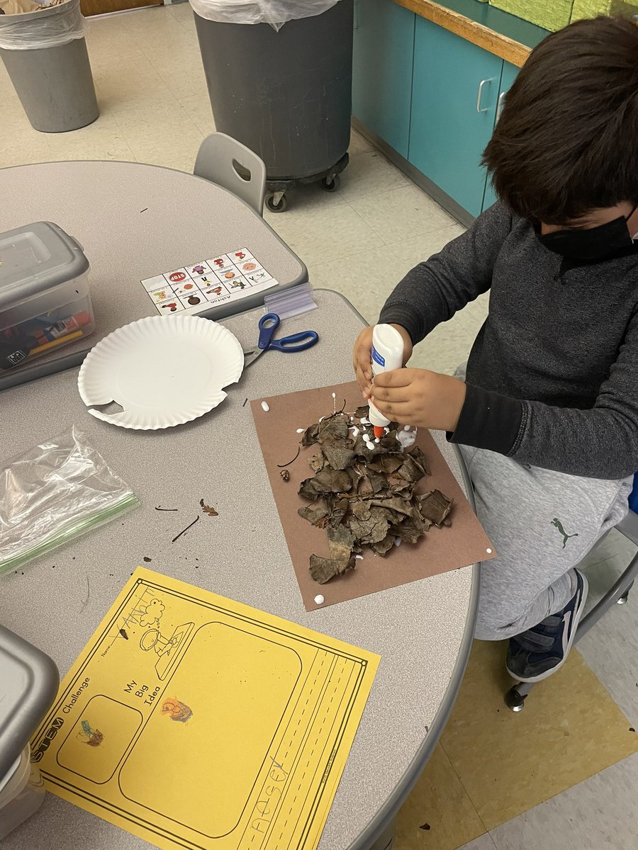 mrsmichelSL's tweet photo. Today for enrichment, our scientists were inspired by Sue and Otto @SUHawkNest2 and Big Red and Arthur @CornellHawks to build their own bird nests! @SyracuseSchools @MrsGiannuzziSL @syracuselatin https://t.co/M25vXmCSrT