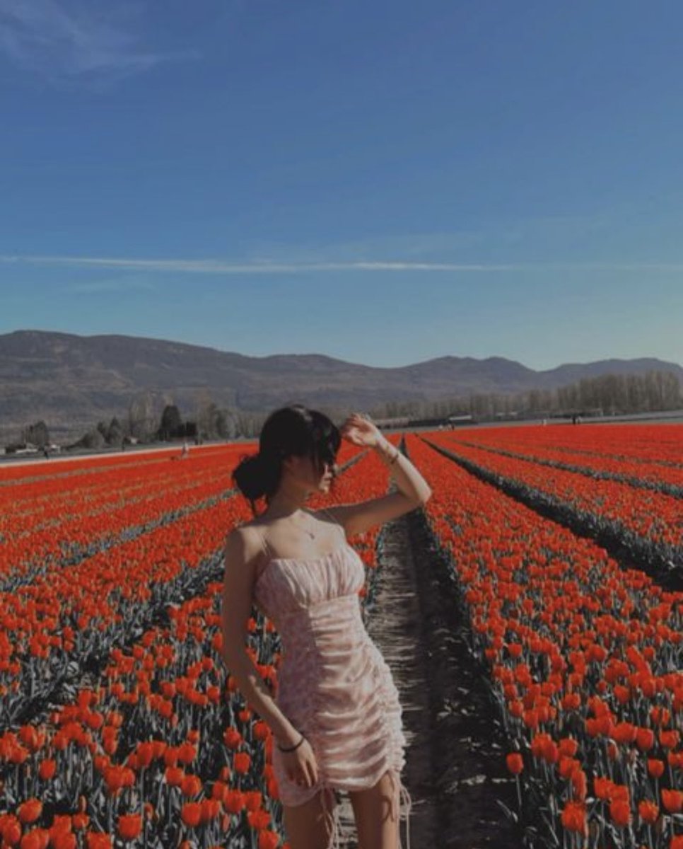 チューリップの季節 v2

૮ ˶ᵔ ᵕ ᵔ˶ ა