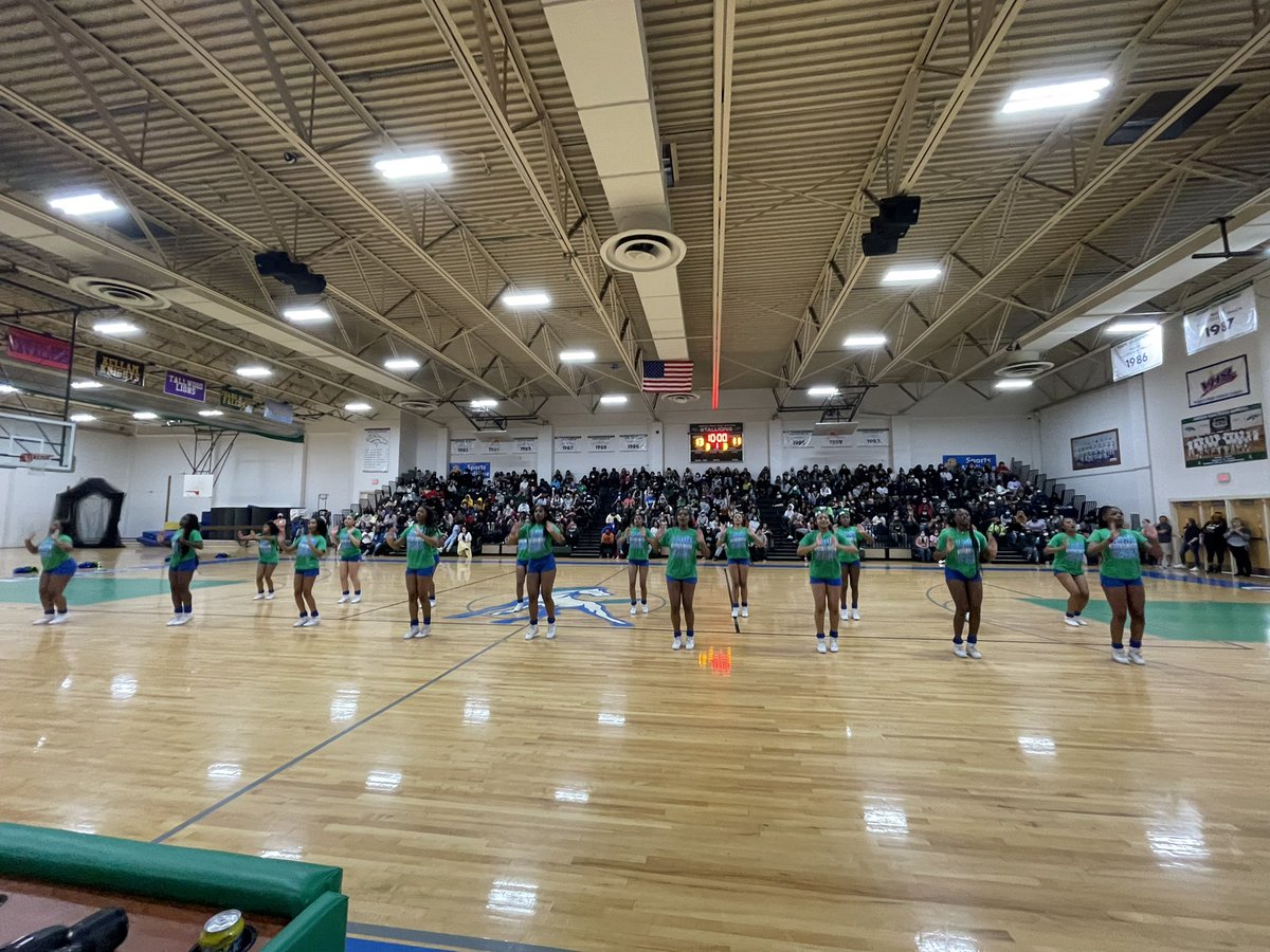 GRHS_Stallions's tweet photo. Alumni cheer in the house!π€©#EquusWeek22 https://t.co/2BQw98KpG9