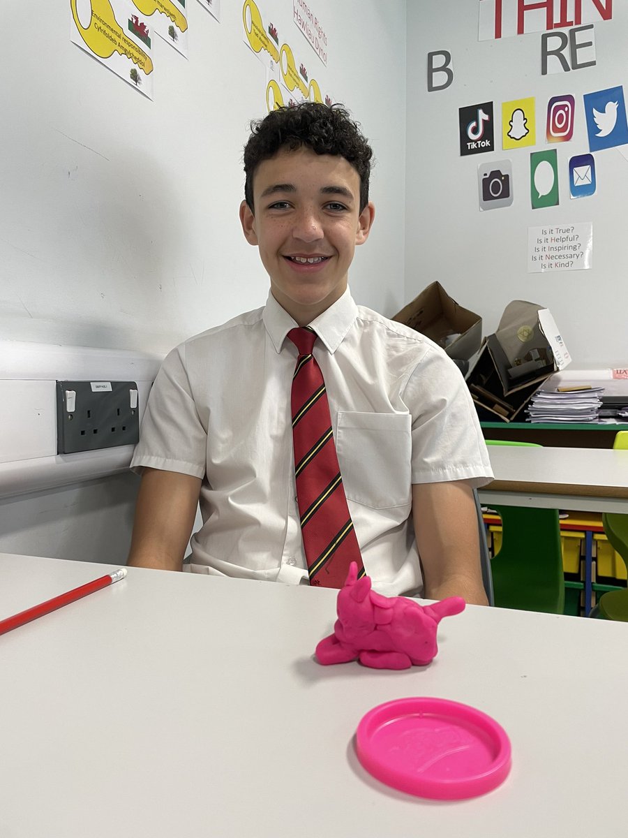 YCB_RS's tweet image. 10B during their resilience lesson this week in PSE #TeamMissHarris