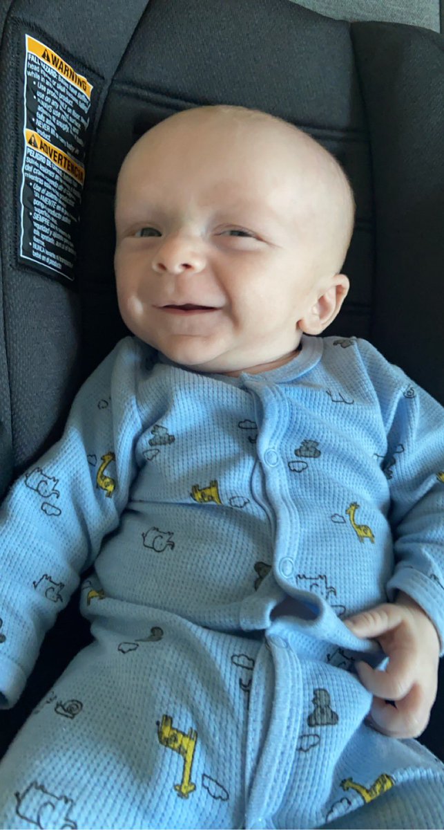 bradyyy_e's tweet photo. #GerberPhotoSearch2022 https://t.co/slp2cyah4N