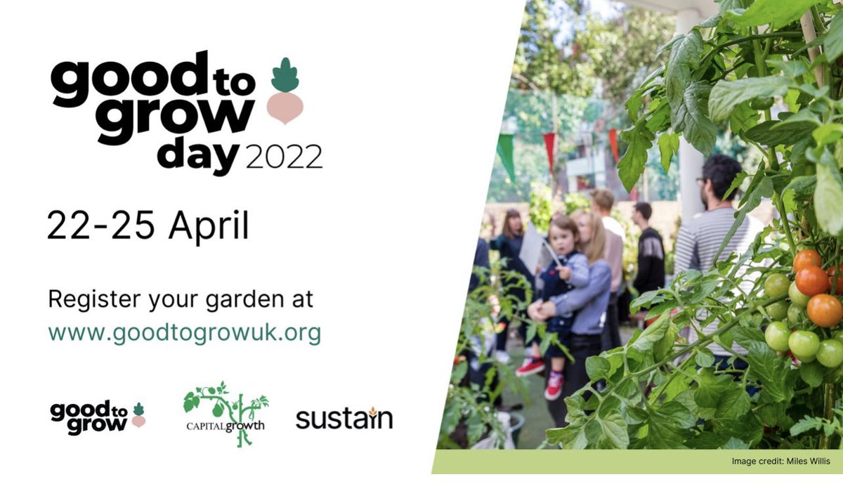 We’re delighted to announce our #GoodToGrow2022 EVENT. Join us on 23 April (11.30-2pm) for all things community gardening: food growing, fresh cooking, plant sale, seeds, chat, tea. #growyourown #urbangarden #CommunityGardenWeek #eastgreenwich #london