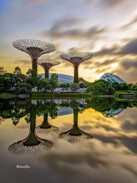 Amazing sunset..✨✨❤☕🙏