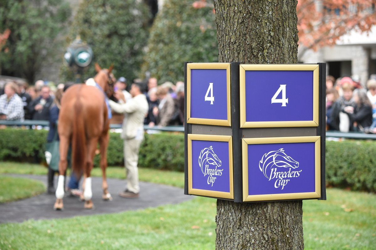 BreedersCup's tweet photo. Keen on @keeneland! 😍
#BC15 #BC22
📸: @EclipseSports https://t.co/itiG69skK9