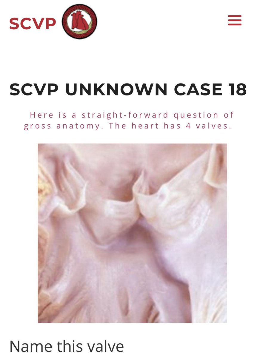 SCVP1 tweet picture