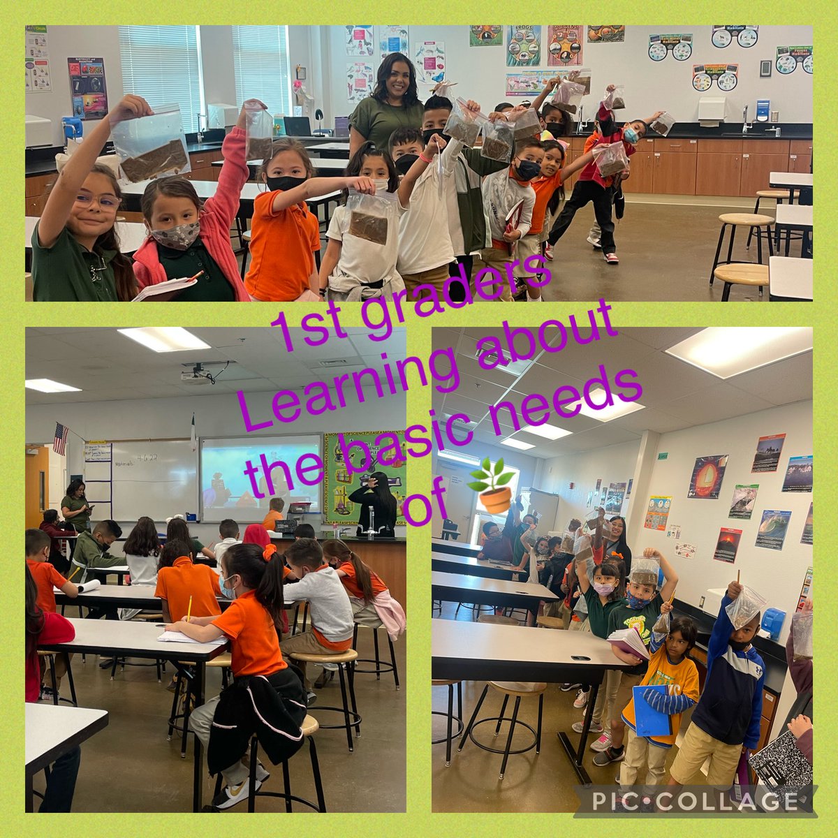 NBustiCJES's tweet photo. Excited to have our Lions back in our Science Lab!
#TogetherWeAre1
#1stGradersRock
#TeamSISD https://t.co/zKEOqcFMJn