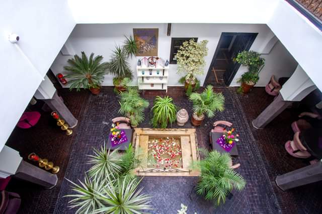 ColetteCooperTC's tweet photo. Fantastic value for a 4-night stay in this sumptuous Riad in the heart Marrakech’s vibrant and exciting Medina. Based on 2 passengers @ £251pp
https://t.co/3CEGfPr6oL https://t.co/1qFv1tMiCi