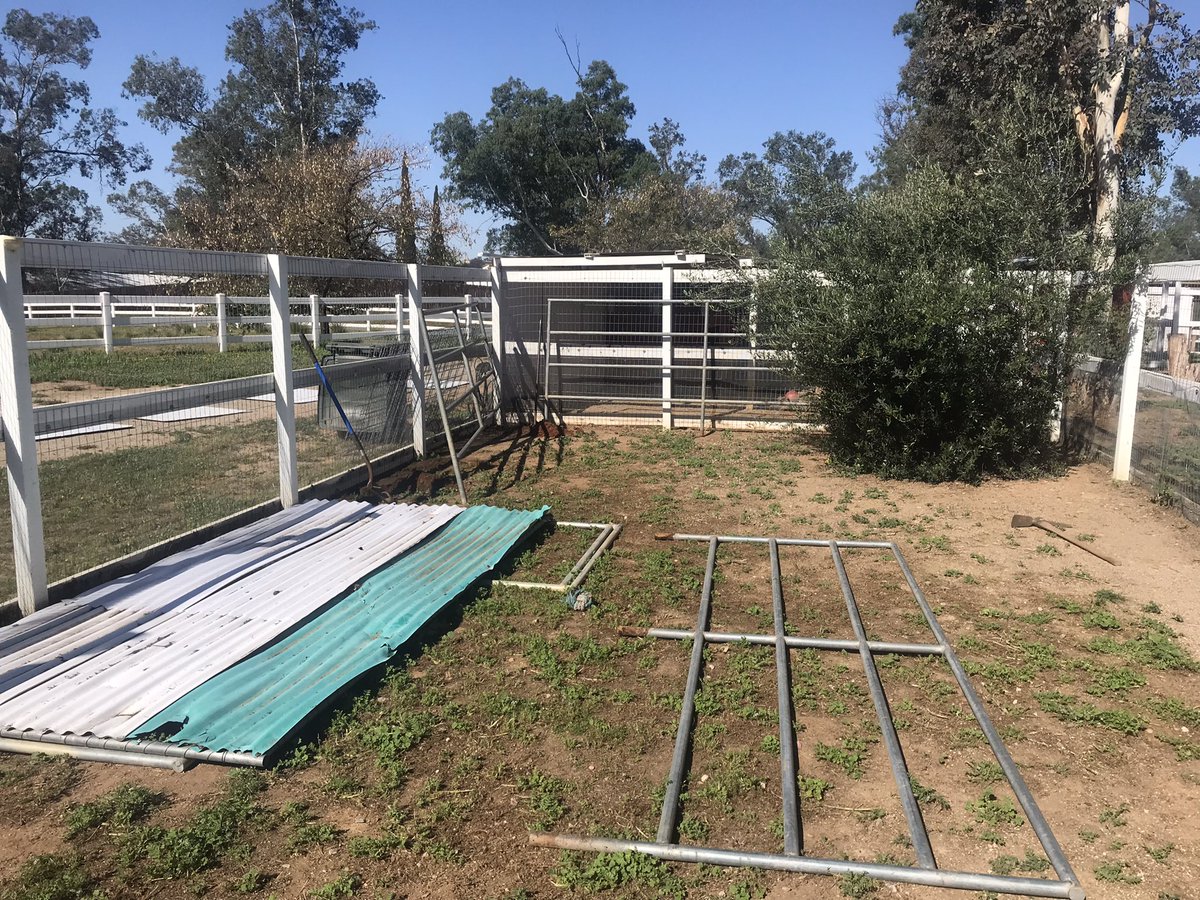 JJ Franey, PhD tweet media