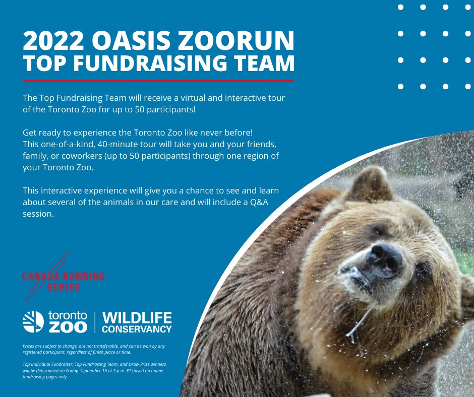 TZWConservancy's tweet photo. Have you registered for the 2022 Oasis ZooRun? Donβt forget to create your personalized fundraising page and share it with family and friends! We have some amazing fundraising prizes available this year. π―
For more info or to register: https://t.co/wmGo7LY6Jw π #ZooRunTO https://t.co/GLh51Qmzm4