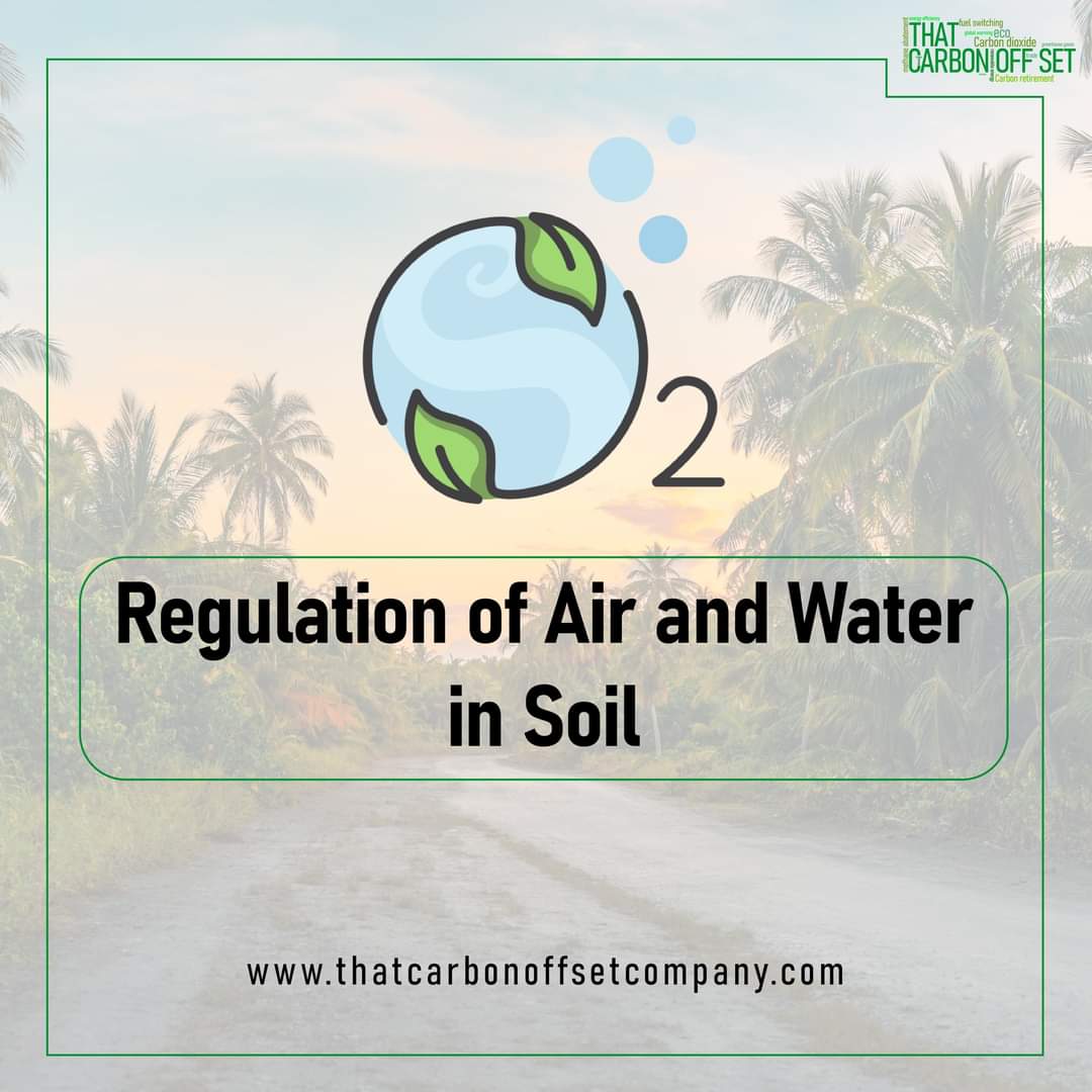 Plants require both oxygen and water in the root zone for optimum growth. In soil, water and air are held in the pore space between soil particles and soil aggregates. The sizes of the pores that occur between and within soil aggregates determine https://t.co/y2IhApgs66