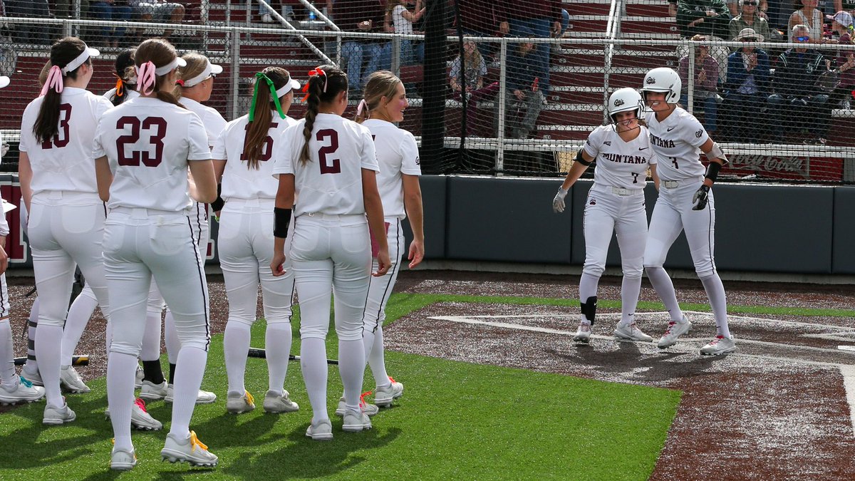 Big Sky Softball tweet media