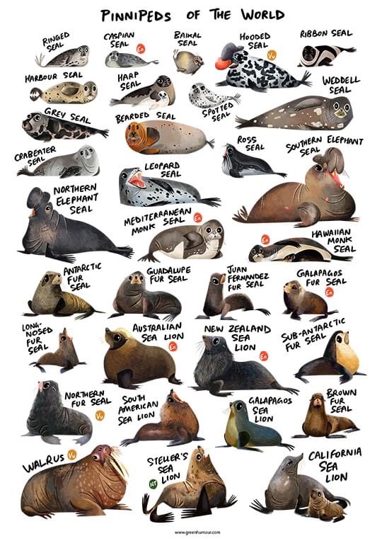 Pali Canon (@canon_pali) on Twitter photo 