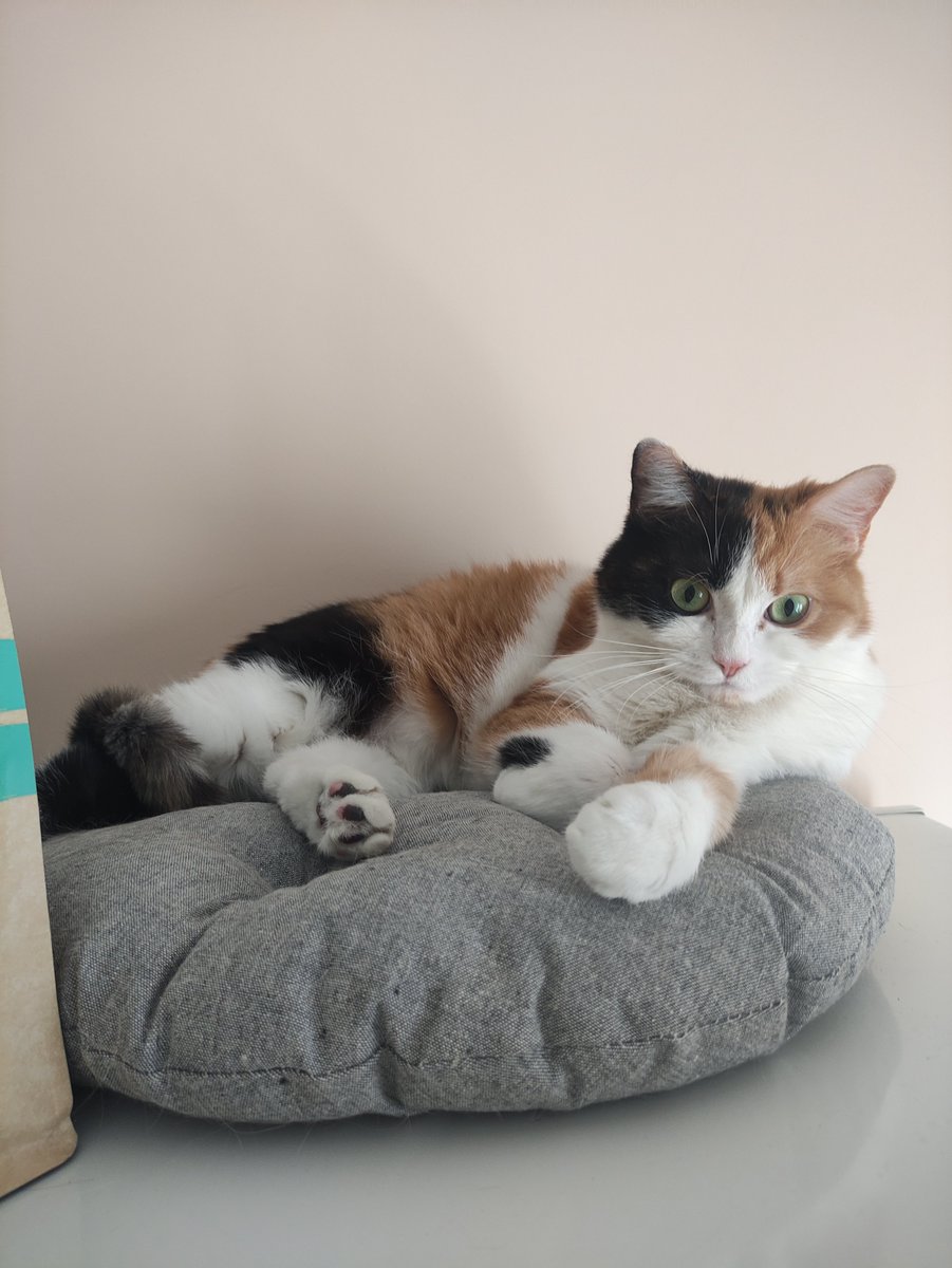 Electroid #НетВойне (@twizko) on Twitter photo 