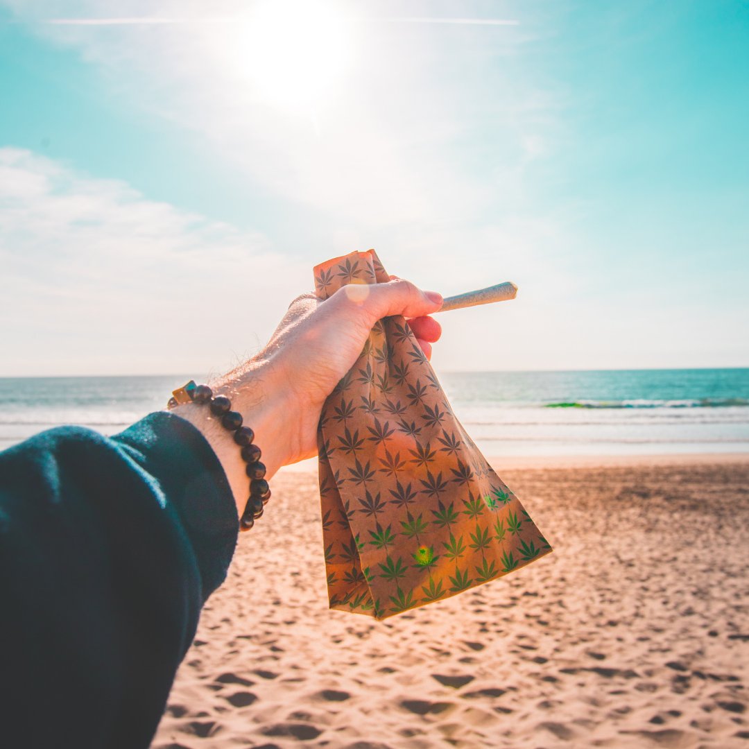 GreeneryMap's tweet image. POV: Wish we were here 😍

#cannabis #cannaculture #mmj #cbd