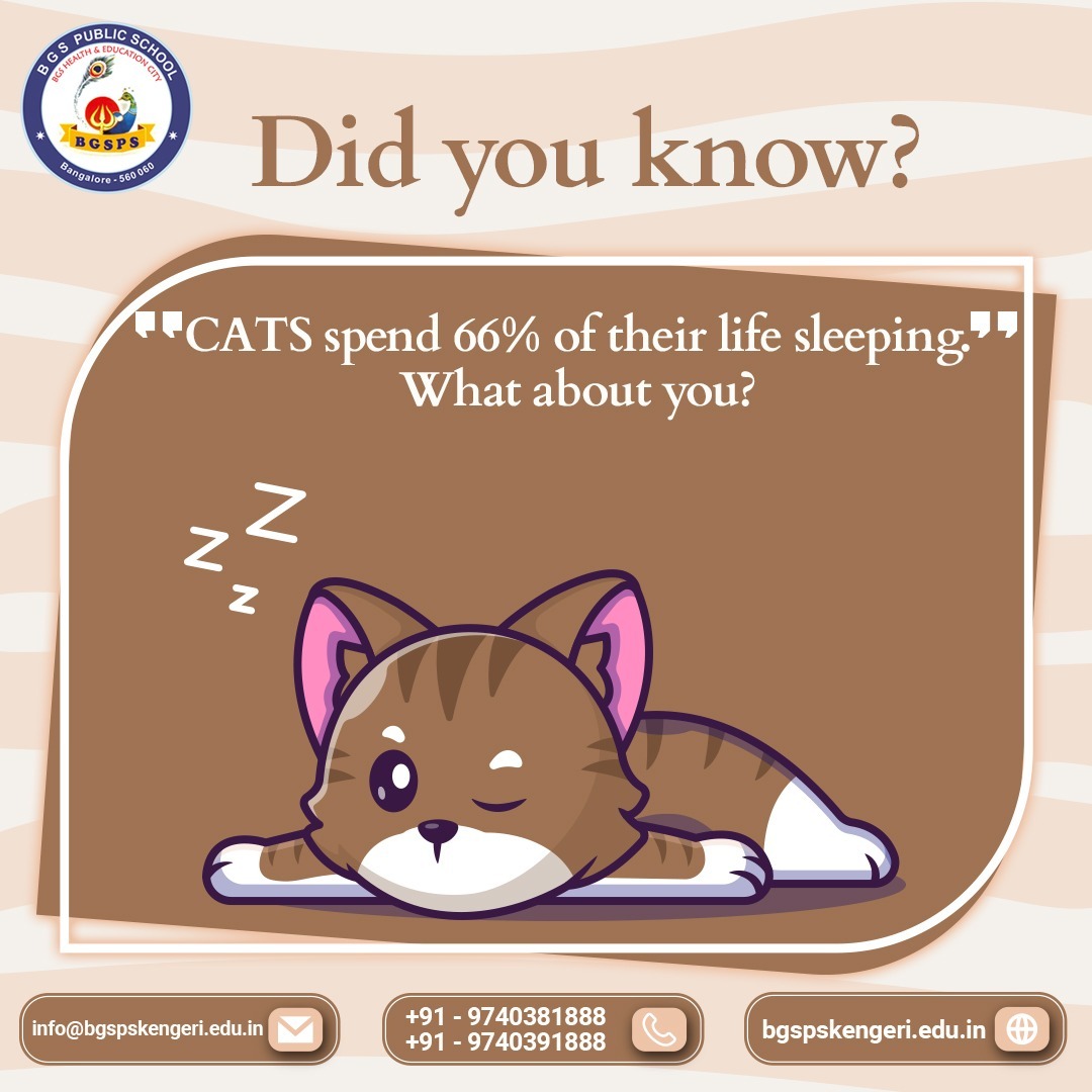 bgspublic's tweet photo. Say MEEOW🐱 Those cute tiny kittens in your neighborhood are asleep most of the time isn't it?
Drop a YES in the comments below if you have seen one lately!!
#BGSPS #BGSSJB #CBSE #Education #Bangalore #Karnataka #Bengaluru #School #India #BGSpublicSchool #Cats #Didyouknow https://t.co/ixp0UVh62x