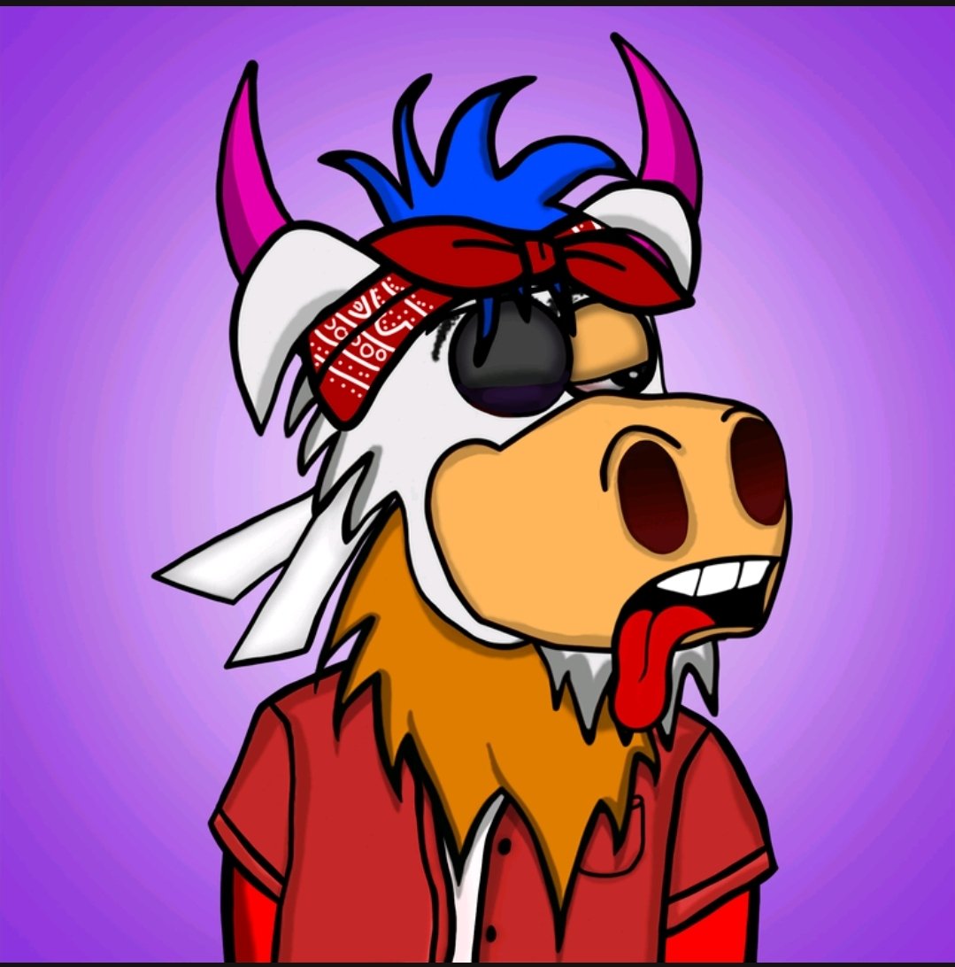 Loco Moose Club 🐮 tweet media