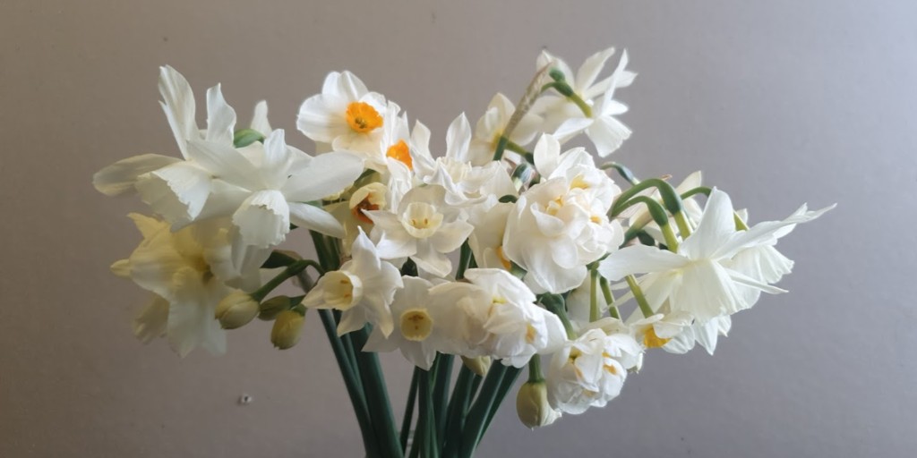 Spring is on it's way..... 

#springbouquets #narcissi