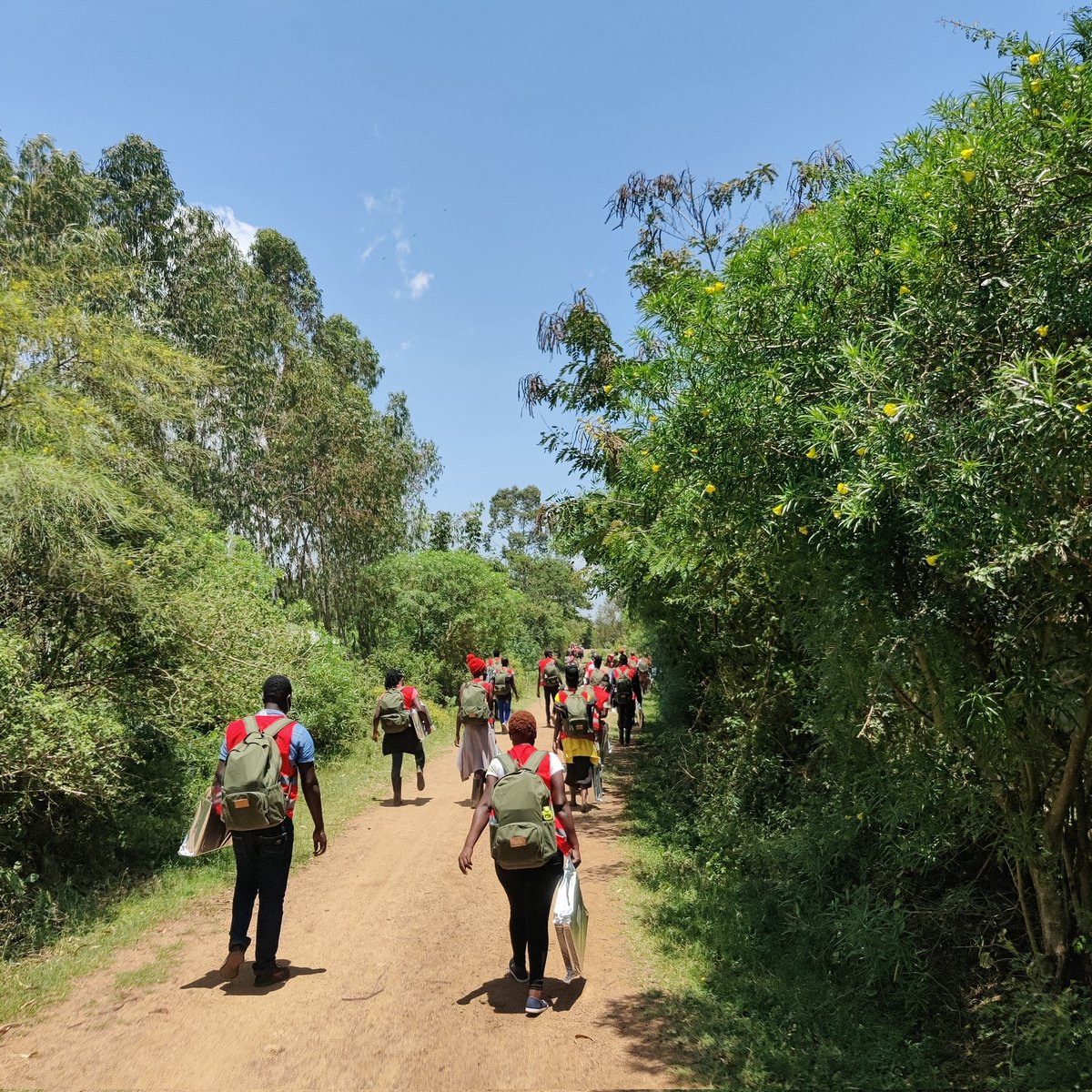 Daniel Mc Dermott (@damcderm) on Twitter photo A truly monumental effort by the entire team getting the ATSB validation trial up and running in western Kenya. So many challenges surmounted by a great team. Looking forward to the next 2 years! <a href="/eochomo/">eric ochomo</a> <a href="/MartinDonnelly8/">Martin Donnelly</a> <a href="/BRIANPOLO10/">Polo Brian</a> <a href="/Yobraseda/">Brian Seda</a> <a href="/MadgeMuchoki/">margaret muchoki</a> <a href="/invectorcontrol/">IVCC</a> A truly monumental effort by the entire team getting the ATSB validation trial up and running in western Kenya. So many challenges surmounted by a great team. Looking forward to the next 2 years! <a href="/eochomo/">eric ochomo</a> <a href="/MartinDonnelly8/">Martin Donnelly</a> <a href="/BRIANPOLO10/">Polo Brian</a> <a href="/Yobraseda/">Brian Seda</a> <a href="/MadgeMuchoki/">margaret muchoki</a> <a href="/invectorcontrol/">IVCC</a>