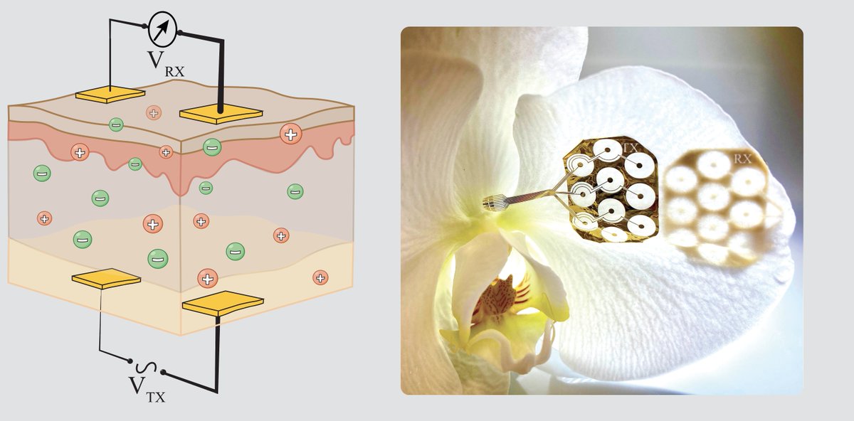 Dion Khodagholy tweet media