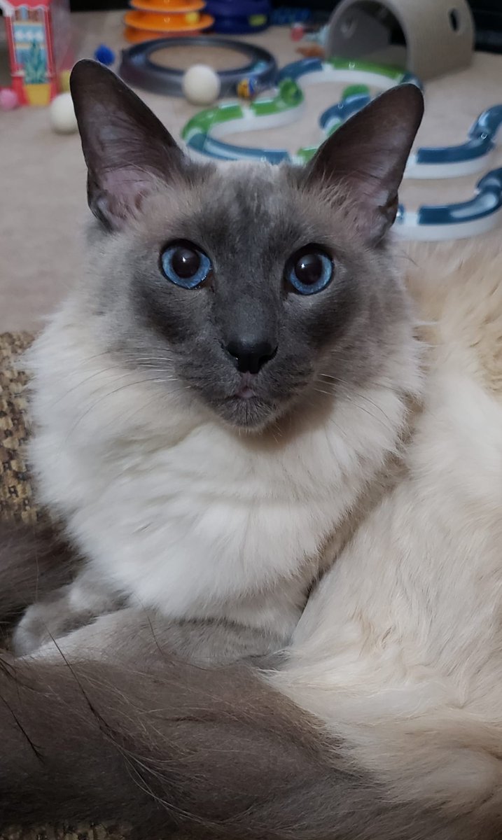 Brian King tweet media