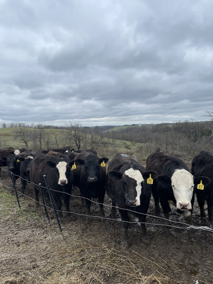 SB Nemo Farm tweet media