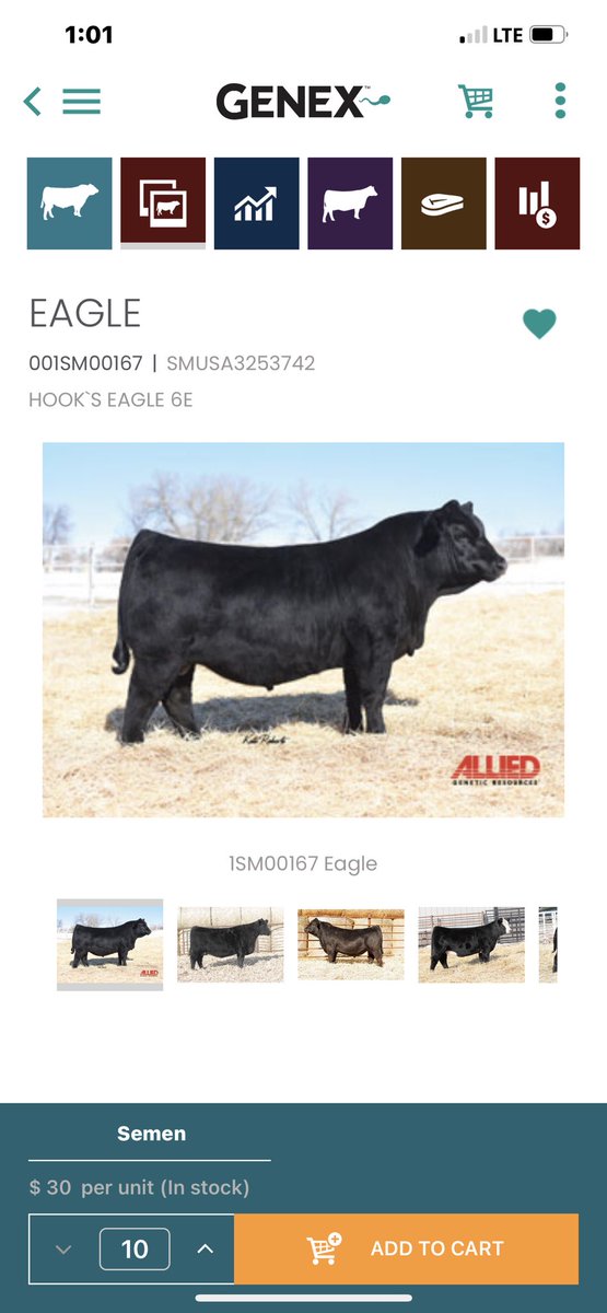 SB Nemo Farm tweet media