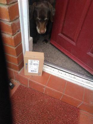 duhonwdaisy's tweet photo. I am a very clever girl.  I signed for a delivery this morning! https://t.co/AlUzxTjJYa