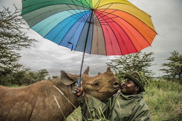 Meet Kamara and Kilifi. Kilifi is a (rather stunning) black rhino. Ami Vitale ’94 (who snapped this shot) and Eileen Mignoni ’09 (MA) have turned their passion for photography into a nonprofit to raise money for global conservation. GAA members, read on: alumni.unc.edu/news/a-world-o…
