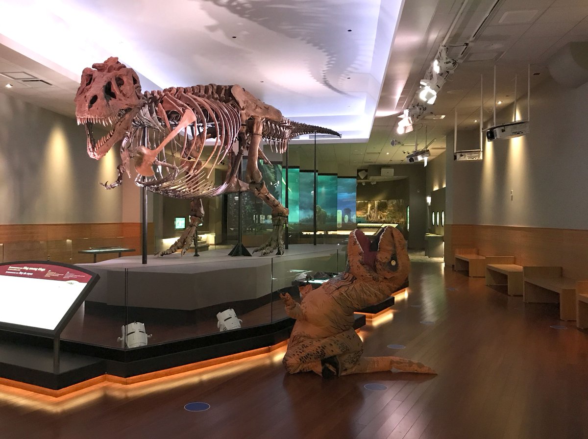 Field Museum tweet media