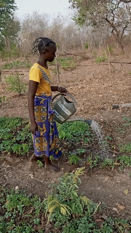 G5_Sahel_SE's tweet photo. Les bonnes performances du projet #G5Sahel- @AfDB_Group contre le #Covid19 au #Tchad 🇹🇩🇹🇩🇹🇩:
Cliquez ici👉🏾 https://t.co/6x0C425Yg7 https://t.co/BpAb79qLTC