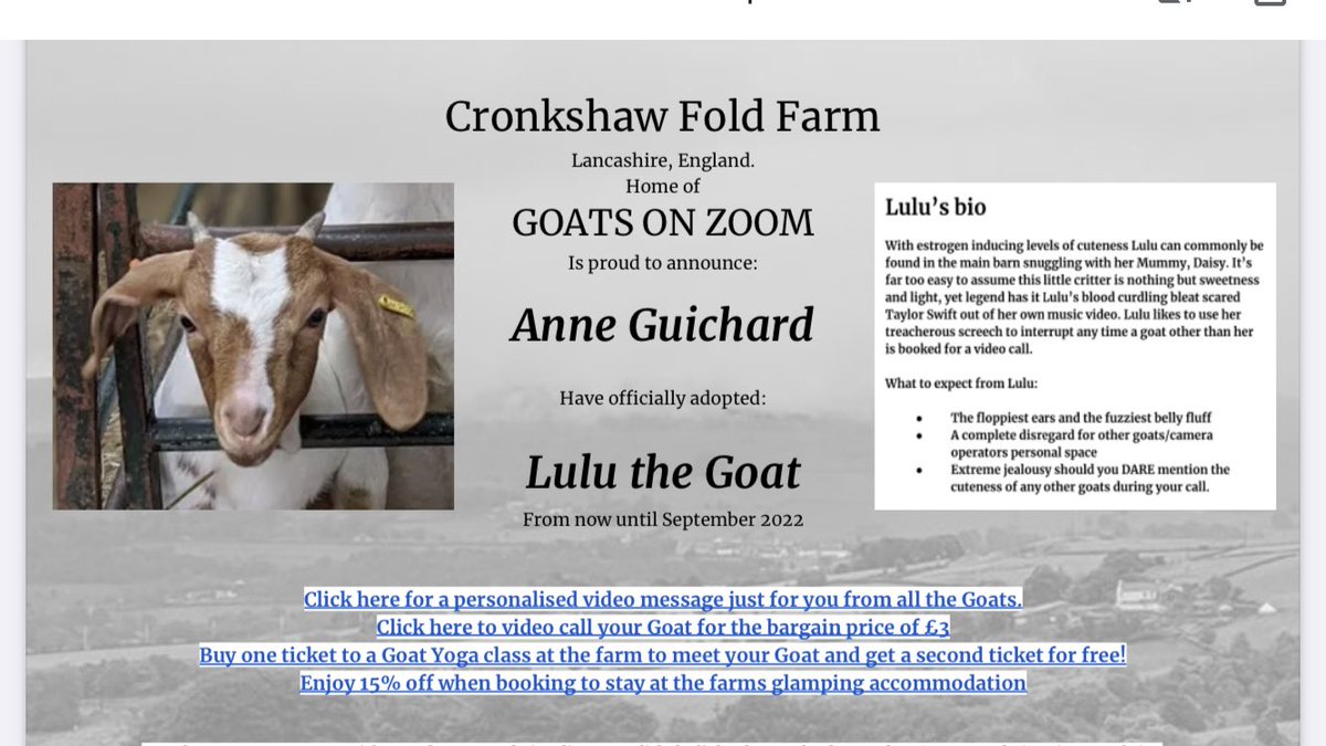Duchesse_Anne's tweet photo. Je suis officiellement marraine de Lulu la chèvre ! ❤️🐐❤️ Je l’aime d’amour et la fais intervenir dans plein de Zoom. #joie #fierté #Lulu #Baabaaa #Godsavethegoat https://t.co/CDpvSSuUc4
