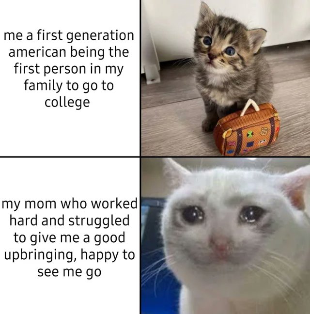 Image of this social media content