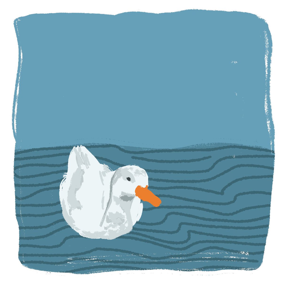 quacktherine's tweet photo. duck . he swimming . https://t.co/V3BZ9hdA9K