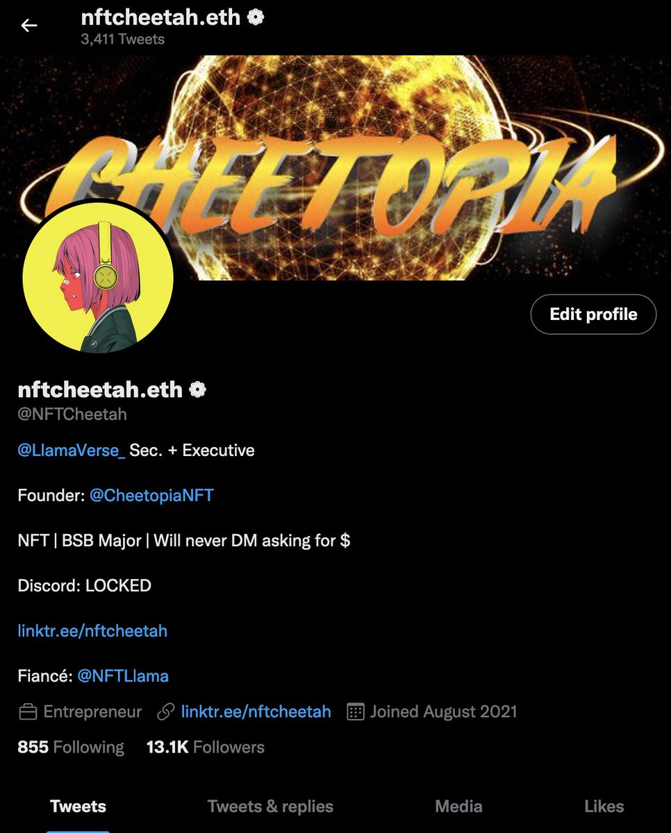 nftcheetah.eth tweet media