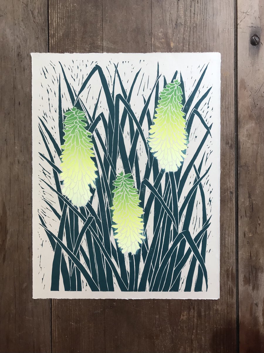Tillyprint's tweet photo. Testing out colours on this Kniphofia print today #printmaking #linocut #handmadehour https://t.co/mOVNlPOTph