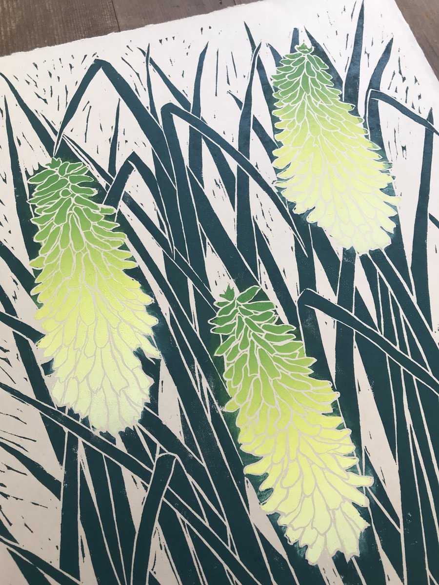 Tillyprint's tweet photo. Testing out colours on this Kniphofia print today #printmaking #linocut #handmadehour https://t.co/mOVNlPOTph