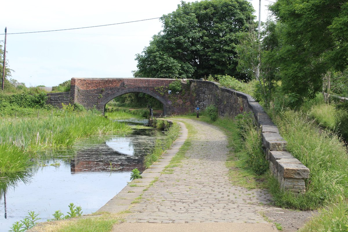 BridgesCanal's tweet photo. Withins Bridge No 18 .. Radcliffe .. Manchester Bolton &amp; Bury Canal .. @CRTNorthWest @MBBCanalGroup @ThePhotoHour @CRTBoating @CanalRiverTrust #Manchester #Radcliffe #lifesbetterbywater https://t.co/25XPrfVrSu