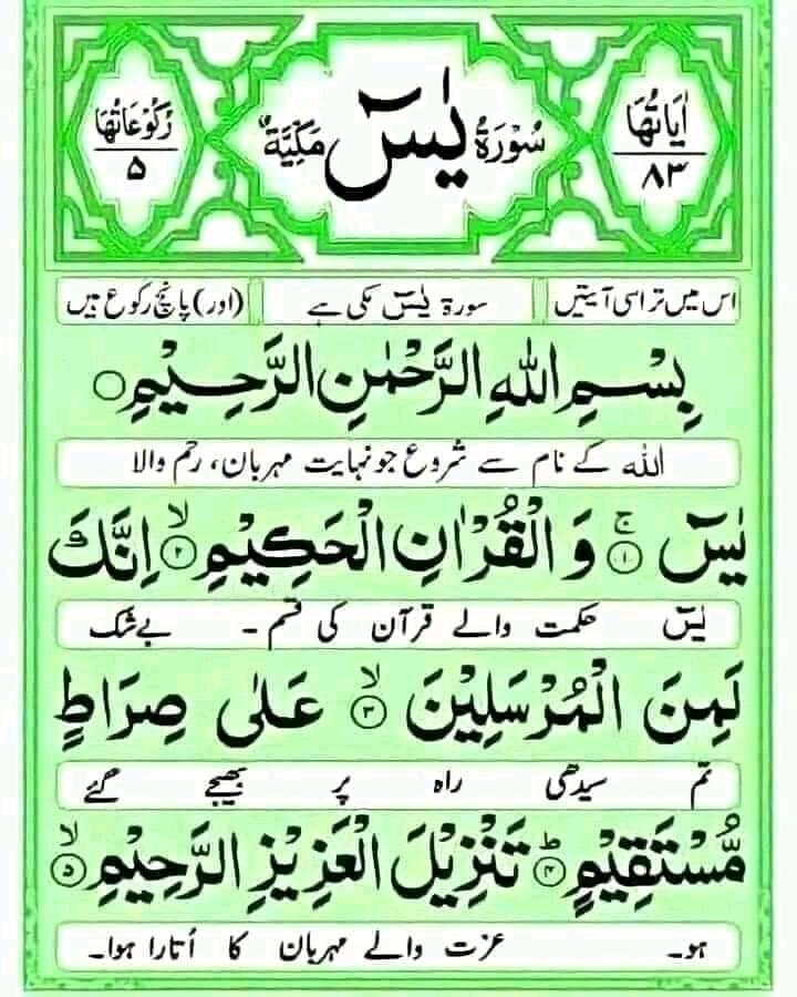 Faraz Ahmed Mughal tweet media