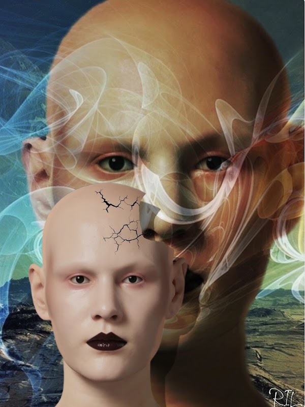 not here tweet media