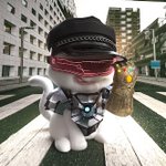 Photo by Perilous Petz (@PerilousPetz)