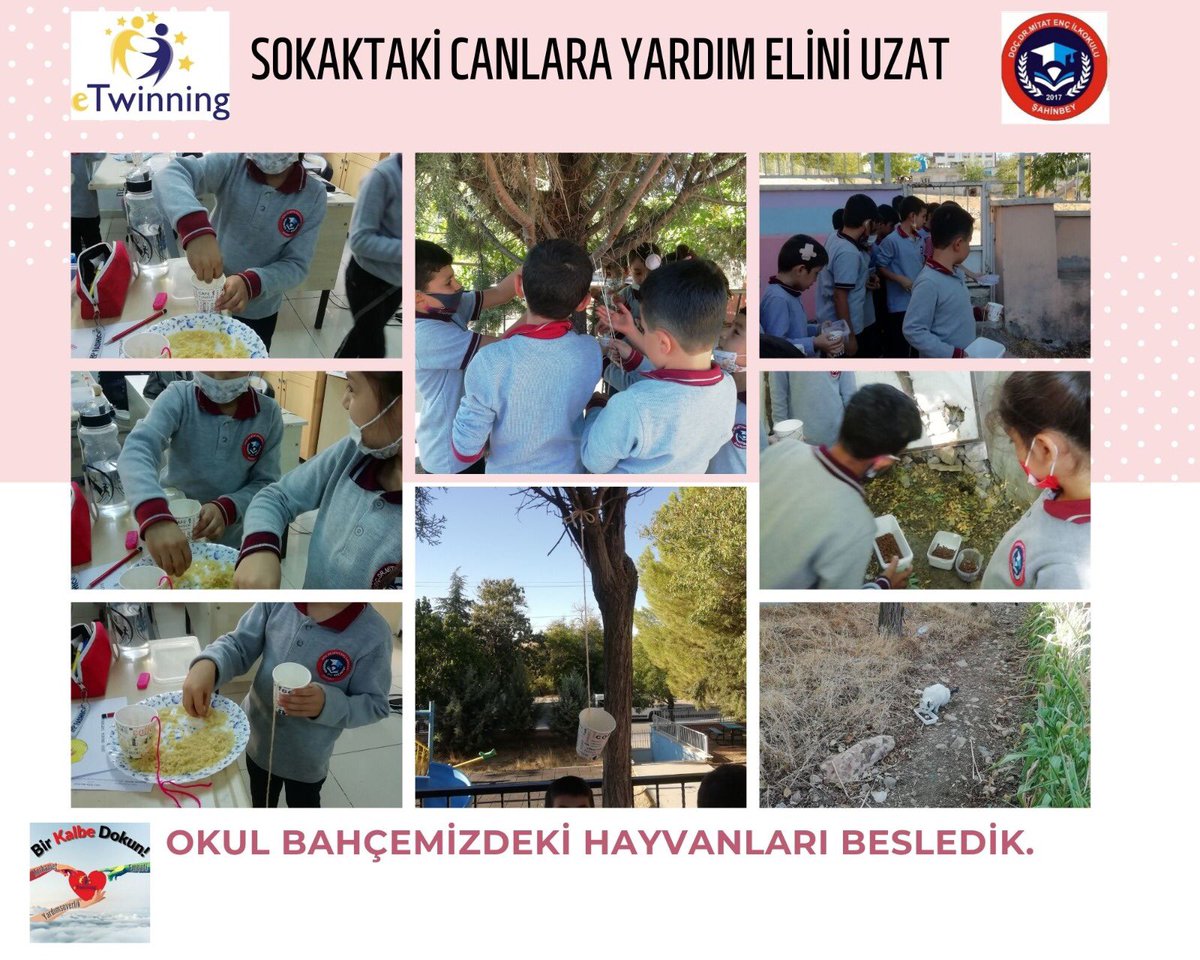 doc_enc's tweet photo. Bir Kalbe Dokun etwining projesi kapsamında yardımseverlik değeri etkinliğimiz için bir köpek evi yapıp, hep birlikte yardımlaşarak boyadık ve sokak canlarına yardım eli uzattık. @yasintepe @erdalkilinc27 @Gaziantep_MEM @sahinbeymem @etwgaziantep @GaziantepArge @zlem61874177 https://t.co/gbjpmbtySF