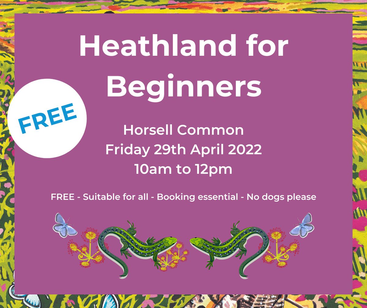 TBHPartnership's tweet photo. FREE nature walk!
Join us for a leisurely wander to discover a local landscape rarer than rainforest! Find out about the amazing plants and animals that live on #HorsellCommon…and perhaps even spot an elusive Dartford Warbler!

Details at: https://t.co/VoUnu8iBHy https://t.co/MmnGaLXI1t