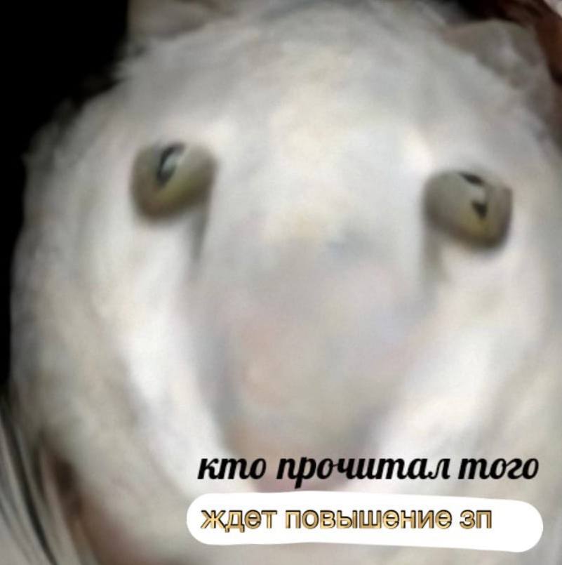 Не стесняемся репостить