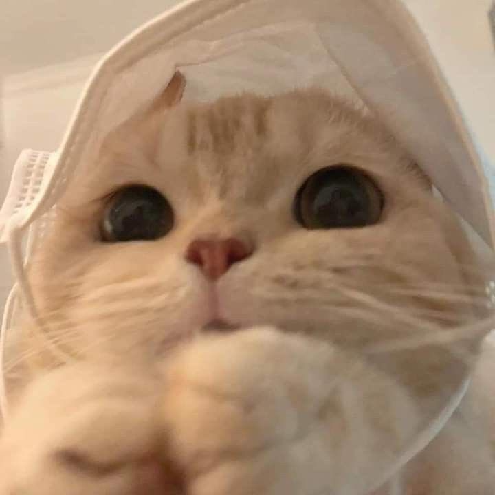 <a href="/G0DV4SU/">VASU close</a> เบบี๋ๆๆๆ ปี้บๆๆๆ