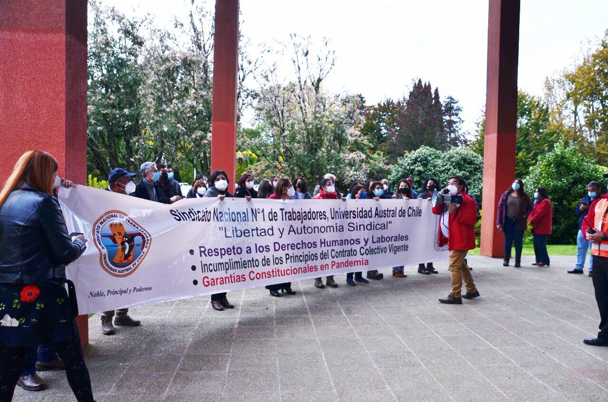 SindocUach's tweet photo. 📌Destacamos la valentía del Sindicato de Trabajadores #uach al emplazar a rectoría para exigir el inicio de la negociación colectiva. Como #SINDOC solidarizamos con su demanda y exigimos que se acoja los planteamientos del contrato colectivo de ambos sindicatos. 
#valdiviacl https://t.co/9Ypw4Nl3bi