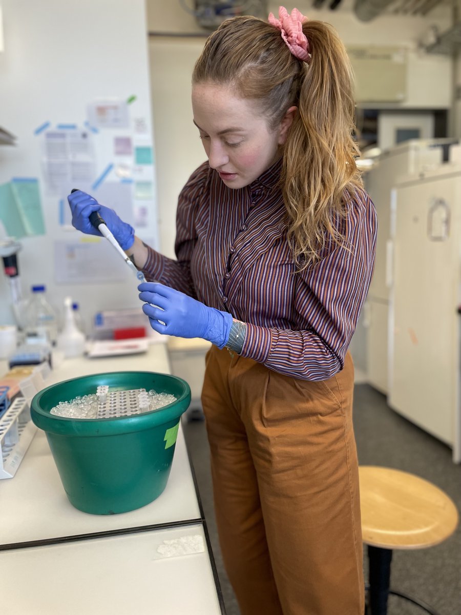 ubimotif's tweet photo. Greetings everyone! I am Sophia studying in the @PeterLab8 @ETH_DBIOL. It was a busy week starting with my group meeting, but now I am quite excited to generate new mutant plasmids for BioID and insect cell purification of the E3 Ub ligase adaptor I study. #PhDChat #Ubiquitin https://t.co/idixGdJ0bP